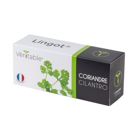 Lingot so semenami koriandra pre inteligentné kvetináče