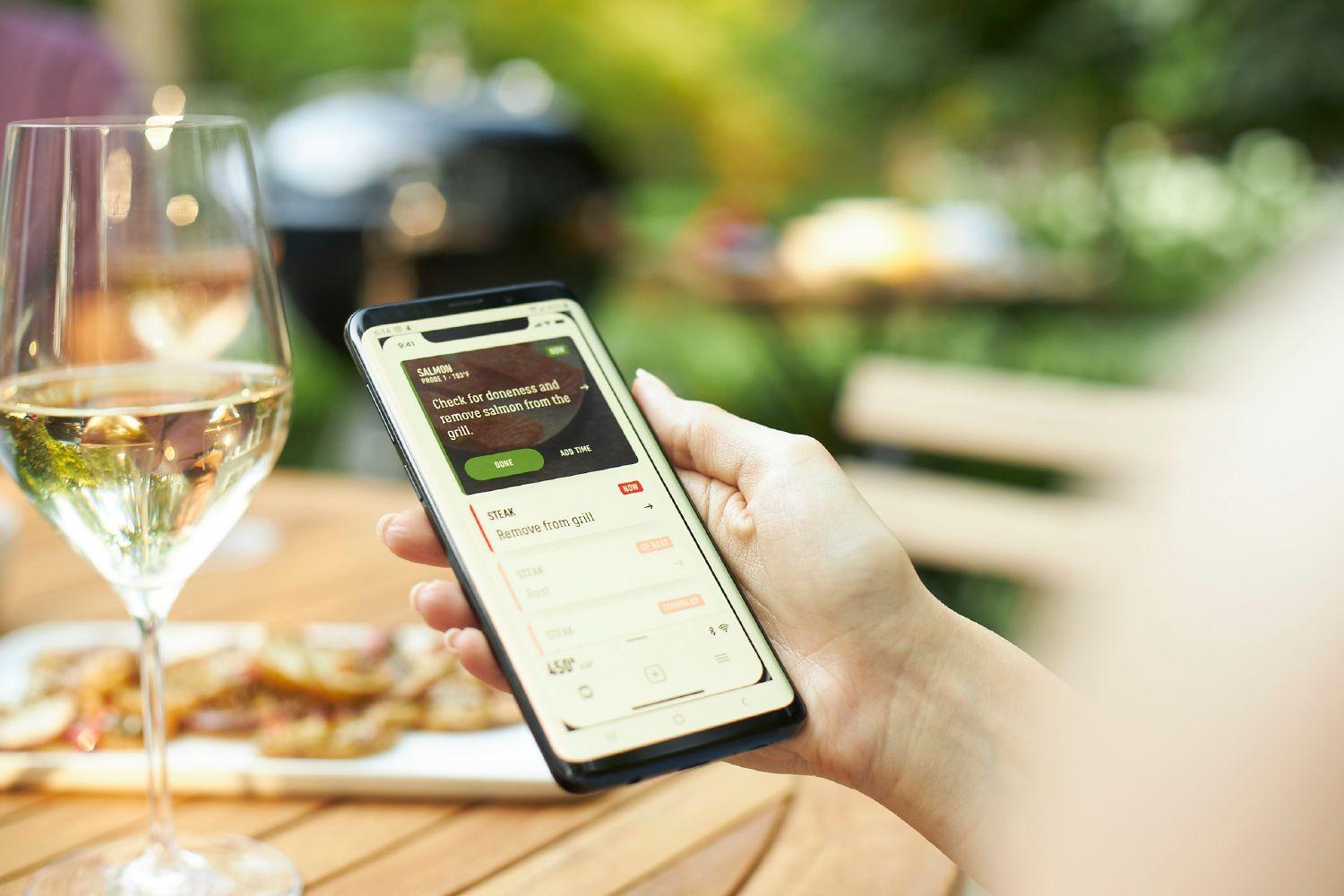 Connect smart grilling HUB