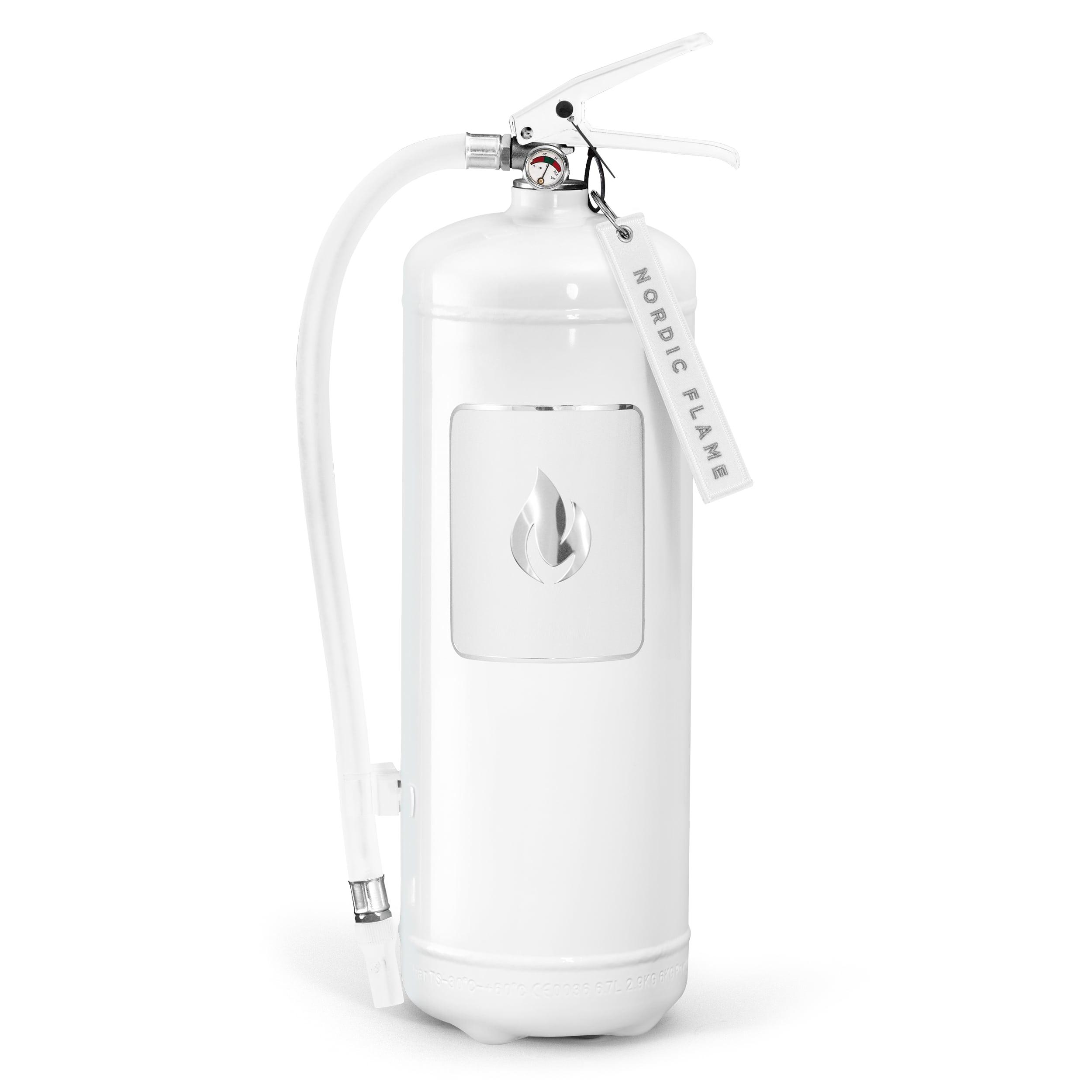 Hasicí přístroj, práškový, 6 kg, bílá