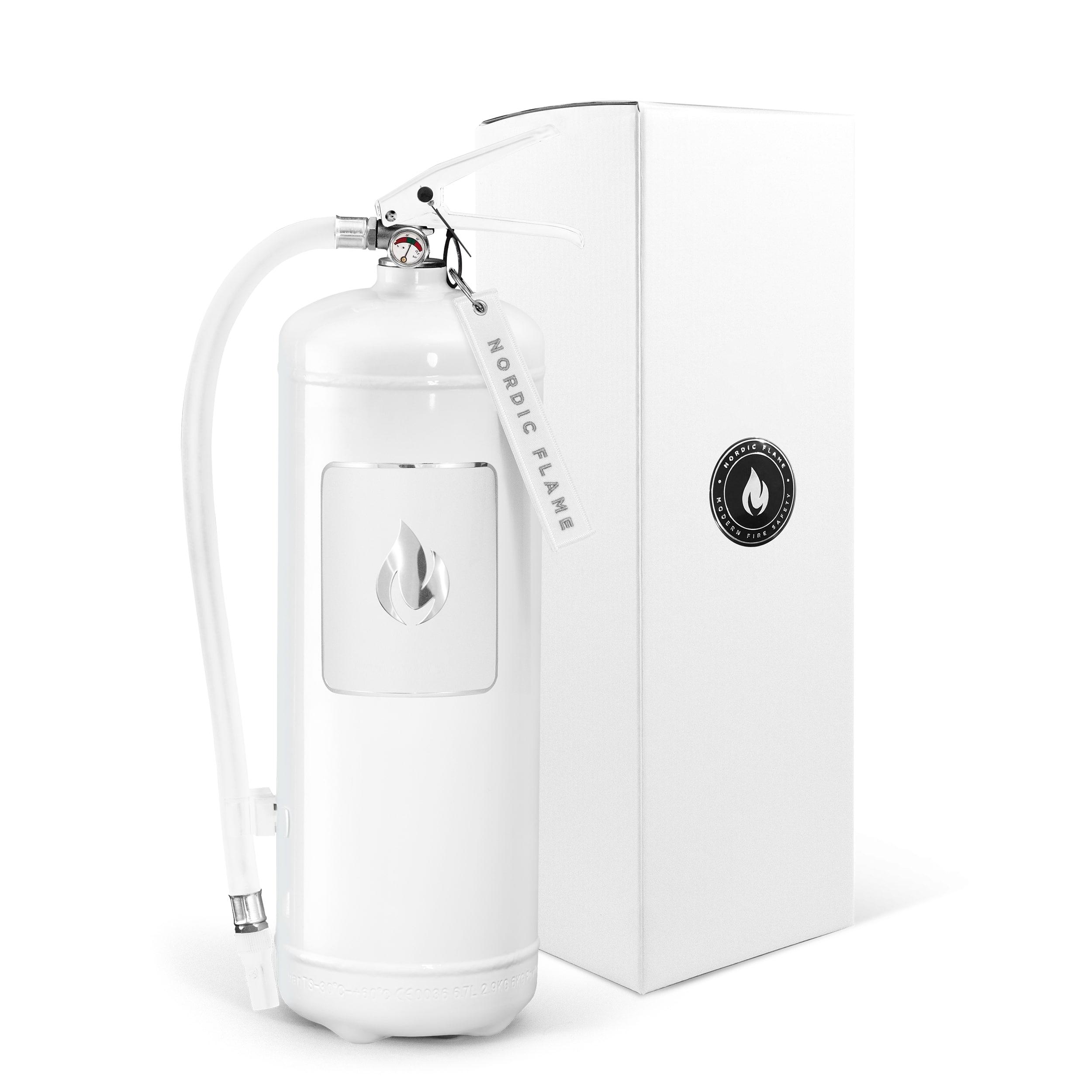 Hasicí přístroj, práškový, 6 kg, bílá