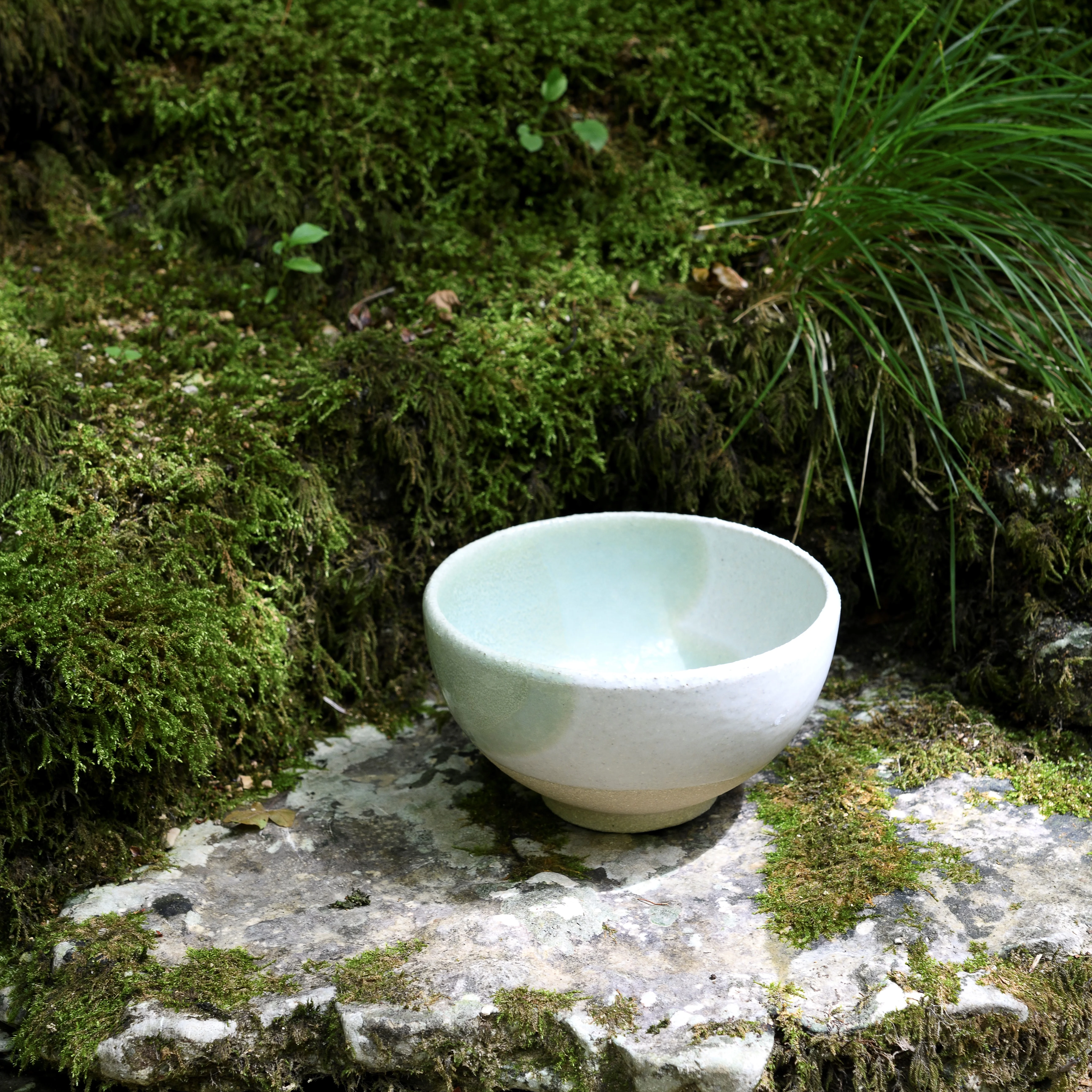 6161ed4f-a6c0-4160-b45c-364b8c8e1d8e