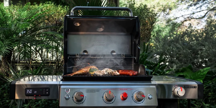 Ako vybrať gril?