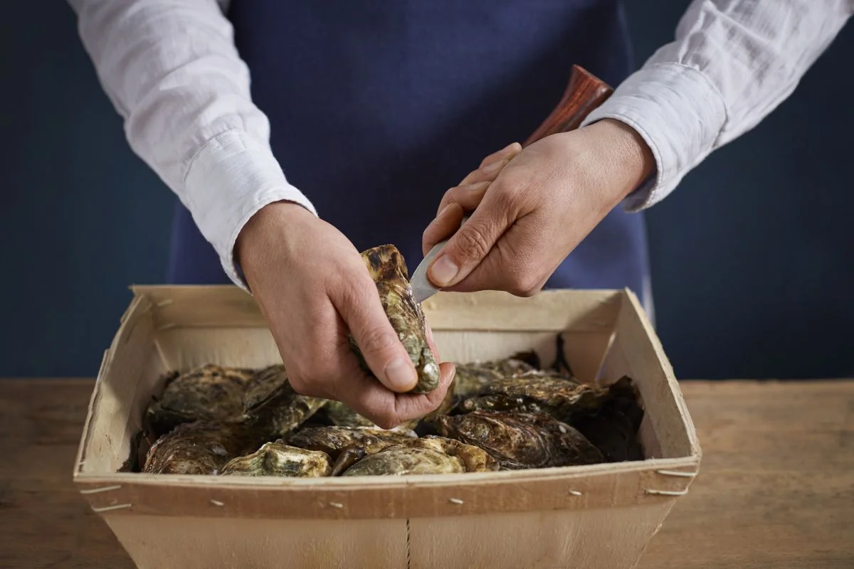 Opinel špeciálny nôž na otváranie ustríc 