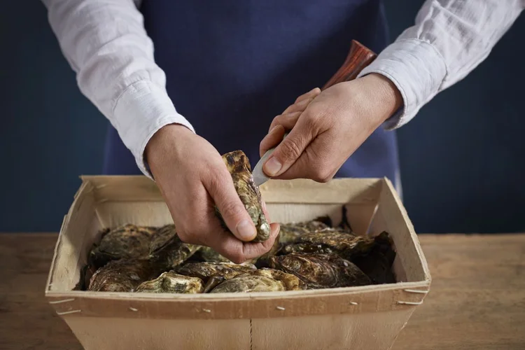 Opinel špeciálny nôž na otváranie ustríc 